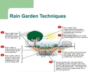Rain Garden Techniques
 