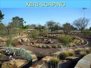 XERI-SCAPING
 