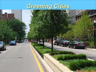 Greening Cities
 