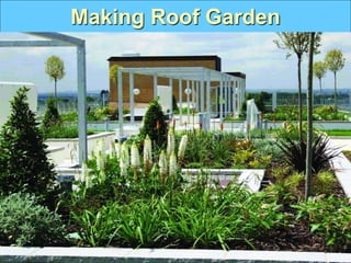 Making Roof Garden
 