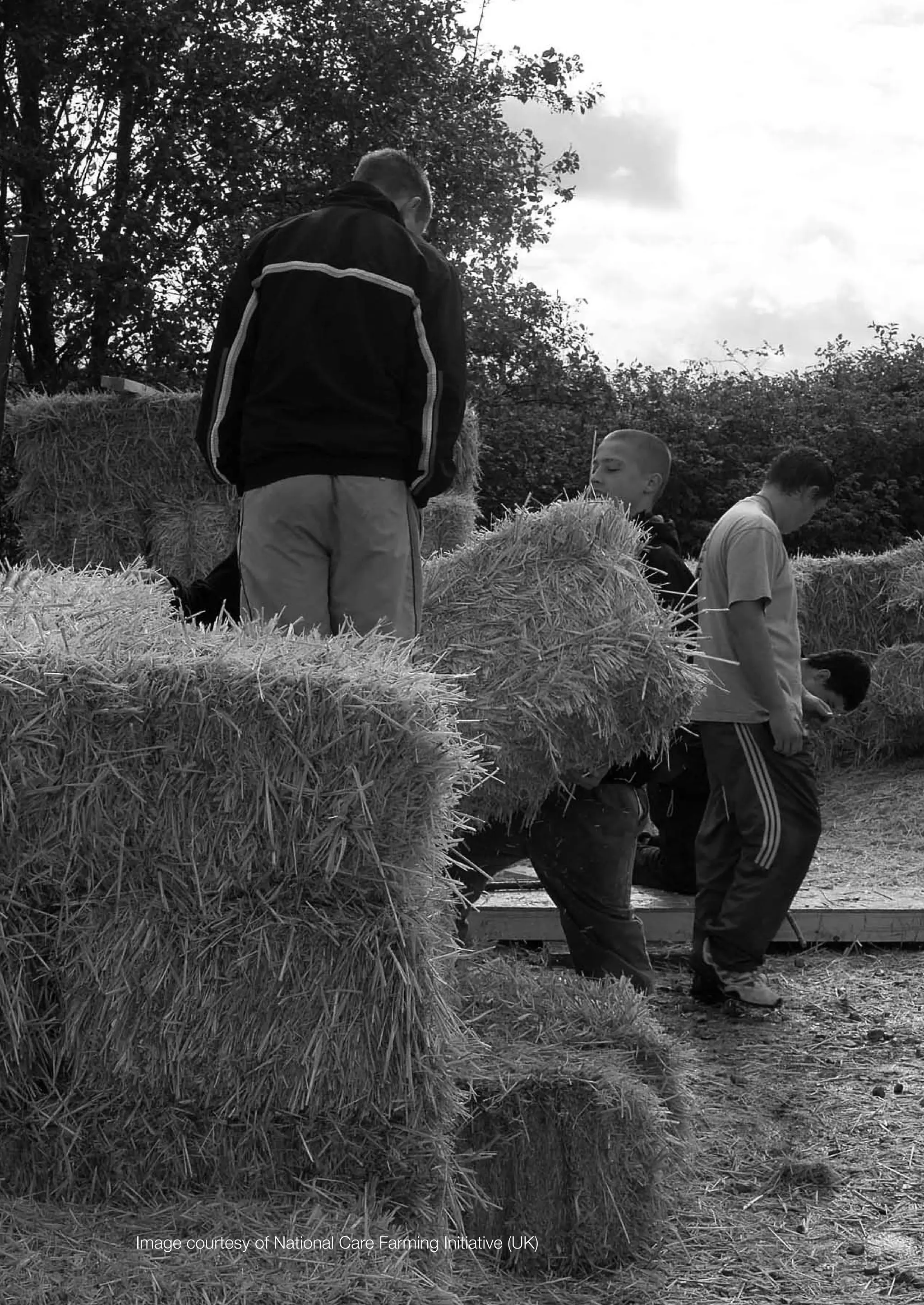 Image courtesy of National Care Farming Initiative (UK)
 