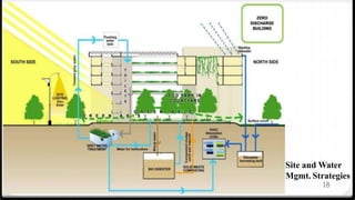 18
Site and Water
Mgmt. Strategies
 