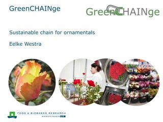 GreenCHAINge
Sustainable chain for ornamentals
Eelke Westra
 