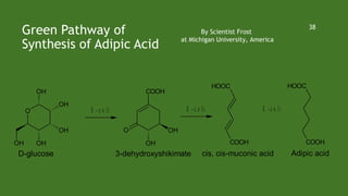 Green Pathway of
Synthesis of Adipic Acid
38
By Scientist Frost
at Michigan University, America
O
OH
OH
OH
OH
OH
D-glucose
E - c o li
COOH
O
OH
OH
3-dehydroxyshikimate
E - c o li
HOOC
COOH
cis, cis-muconic acid
E - c o li
HOOC
COOH
Adipic acid
 