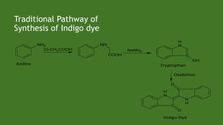 NH2
Cl-CH2COOH
NH
COOH
NaNH2
N
H
C
OH
Oxidation
N
H
C
O
N
H
C
O
TryptophanAniline
Indigo Dye
Traditional Pathway of
Synthesis of Indigo dye
 
