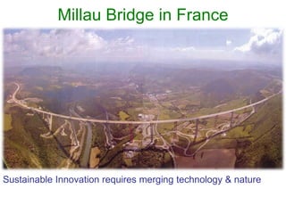 Millau Bridge in France
Sustainable Innovation requires merging technology & nature
 