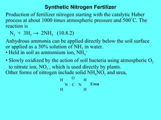 Synthetic Nitrogen Fertilizer Production of fertilizer nitrogen starting with the catalytic Haber process at about 1000 times atmospheric pressure and 500˚C. The reaction is N 2   +  3H 2    2NH 3  (10.8.2) Anhydrous ammonia can be applied directly below the soil surface or applied as a 30% solution of NH 3  in water. • Held in soil as ammonium ion, NH 4 + • Slowly oxidized by the action of soil bacteria using atmospheric O 2  to nitrate ion, NO 3 - , which is used directly by plants. Other forms of nitrogen include solid NH 4 NO 3  and urea, 