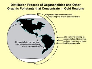 Distillation Process of Organohalides and Other Organic Pollutants that Concentrate in Cold Regions 