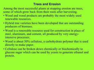Trees and Erosion Among the most successful plants at stopping erosion are trees, some of which grow back from their roots after harvesting. • Wood and wood products are probably the most widely used renewable resources. • Hybrid tree varieties have been developed that are outstanding producers of biomass. • Wood is a renewable resource used for construction in place of steel, aluminum, and cement, all produced by very energy-intensive processes. • Wood is about 50% cellulose, a carbohydrate polymer that is used directly to make paper. • Cellulose can be broken down chemically or biochemically to glucose sugar which can be used by yeasts to generate ethanol and protein. 