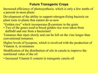 Future Transgenic Crops Increased efficiency of photosynthesis, which is only a few tenths of a percent in most plants Development of the ability to support nitrogen-fixing bacteria on plant roots in plants that cannot do so now “ Golden rice” which incorporates   -carotene in the grain • Two of the genes used to breed golden rice were taken from daffodil and one from a bacterium! Tomatoes that ripen slowly and can be left on the vine longer than conventional tomatoes Higher levels of lycopene, which is involved with the production of Vitamin A, in tomatoes Modification of the distribution of oils in canola to improve the nutritional value of the oil •  Increased Vitamin E content in transgenic canola oil 