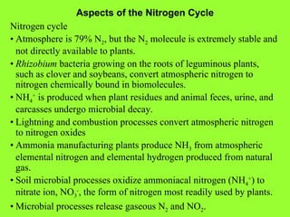 Aspects of the Nitrogen Cycle Nitrogen cycle • Atmosphere is 79% N 2 , but the N 2  molecule is extremely stable and not d...