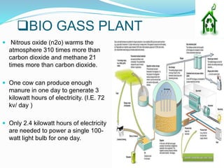 BIO GASS PLANT
 Nitrous oxide (n2o) warms the
atmosphere 310 times more than
carbon dioxide and methane 21
times more than carbon dioxide.
 One cow can produce enough
manure in one day to generate 3
kilowatt hours of electricity. (I.E. 72
kv/ day )
 Only 2.4 kilowatt hours of electricity
are needed to power a single 100-
watt light bulb for one day.
 