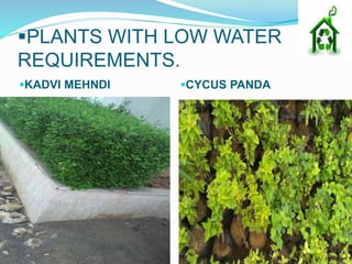 PLANTS WITH LOW WATER
REQUIREMENTS.
KADVI MEHNDI CYCUS PANDA
 