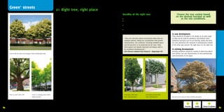 Green+ streets                                                                                 21 Right tree, right place
                                                                                                       Choose tree species which adapt well to                                Benefits of the right tree                                                 Choose the tree variety based
                                                                                                       urban conditions                                                                                                                                 on the desired function as well
                                                                                                       Urban	conditions	(soil	compaction,	tolerance	of	salt,	drought,	low	    •	    The	right	tree	in	the	right	place	requires	less	maintenance             as the site conditions.
                                                                                                       maintenance),	local	climate	conditions	(rain,	wind,	temperature,	      •	    A	tree	that	can	adapt	to	the	urban	conditions	can	
                                                                                                       humidity,	winter	hardiness)	and	the	soil	type	all	need	to	be	          	     reach	maturity
                                                                                                       considered	when	choosing	which	tree	to	plant.	                         •	    Properly	placed	trees	have	the	most	effect	on	air	quality	
                                                                                                                                                                              	     and	provide	shade	where	it	is	most	needed
                                                                                                       Plant trees whose full grown size fits in with the                     •	    The	appropriate	choice	of	tree	species	avoids	damage	
                                                                                                       scale of surrounding uses                                              	     to	property
                                                                                                       Avoid	the	‘green	tunnel	effect’	along	streets	where	polluted	air	                                                                          In new development:
                                                                                                       is	trapped	by	too	dense	or	too	large	trees	and	no	ventilation.	                                                                            Trees	should	be	included	in	the	design	at	an	early	stage		
                                                                                                       Either	plant	smaller	trees	or	be	sure	that	the	porosity	is	more	            “Trees can only fully mature and function when they are        so	they	can	be	used	for	aesthetics	and	perform	other	
                                                                                                       than	40%	by	choosing	trees	with	open	canopies	or	through	                   carefully selected, taking into consideration their growth     beneficial	functions	such	as	air	filtering,	shade	and	wind.	
                                                                                                       sufficient	maintenance.	Also	consider	the	amount	of	space		                 characteristics, site conditions (including available space)   Let	trees	determine	the	character	of	development	instead		
                                                                                                       available	underground	where	the	roots	need	to	develop	and	                  and the functions to be performed by the trees. These          of	the	other	way	around:	The	right	place	for	the	right	tree.
                                                                                                       above	ground	for	crown	development.                                         three aspects are equally important and always need to
                                                                                                                                                                                   be considered simultaneously.”                                 In existing development:
                                                                                                       Trees should enhance and not hinder their                                   Jelle Hiemstra (Applied Plant Research – Wageningen UR)        Existing	conditions	should	be	studied	to	determine	which	
        Trees	fit	with	the	scale	of	the	buildings	|	Photo:	Stichting	Open	Boek                         desired function                                                                                                                           tree	variety,	size	and	characteristics	fit	best	aesthetically	
                                                                                                       Trees	for	shade	should	have	big	canopies	in	the	warm	months,	                                                                              and	functionally	in	the	space.
                                                                                                       trees	for	streets	should	have	a	high	branch	structure	to	prevent	
                                                                                                       obstacles	in	the	streetscape,	use	columnar	trees	in	narrow	
                                                                                                       streets,	trees	in	small	gardens	should	not	overtake	the	entire	
                                                                                                       space,	park	trees	should	fit	with	their	location	and	function,	etc.	
                                                                                                       A	tree	that	overgrows	its	boundaries	will	create	negative	
                                                                                                       opinions	of	trees	in	urban	settings.

                                                                                                       Prevent hazardous situations
                                                                                                       Do	not	plant	trees	with	falling	fruit,	seeds,	uplifting	roots	or	
                                                                                                       branches	that	fall	in	the	wind	in	areas	where	they	can	cause	
                                                                                                       damage,	such	as	along	streets,	in	parking	areas	and	next	to	
                                                                                                       houses.

                                                                                                       Choose tree species which require low maintenance
                                                                                                       for public spaces and streets
                                                                                                       Trees	should	be	able	to	survive	in	changing	weather	/	climate	
                                                                                                       conditions	or	periods	when	the	public	maintenance	budget	is	
        Trees	in	a	park	|	Photo:	PPH                  Trees	on	a	shopping	street	|	Photo:	             not	secure.                                                                 Trees	along	a	wide	street       Trees	along	a	narrow	street
                                                      GWO	Laanbomen                                                                                                                Photo:	GWO	Laanbomen            Photo:	Niek	Roozen	bv          Tree	with	room	to	mature	|	Photo:	Stichting	Open	Boek




     Experts:	Jelle	Hiemstra	(Applied	Plant	Research	–	Wageningen	UR)
64   Sources:	Alle	extra	groen	helpt	de	luchtkwaliteit	verbeteren;	De	bomenplanner;	The	Green	City	Post	2011;	www.straatbomen.nl                                                                                                                                                                                   65
 