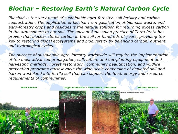 Natural Fertility Treatment In South Africa Natural Fertility Treatment In South Africa