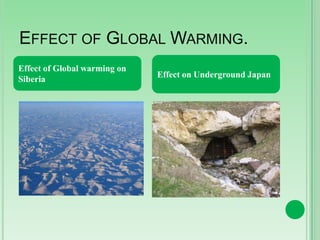 EFFECT OF GLOBAL WARMING.
Effect of Global warming on
Siberia

Effect on Underground Japan

 