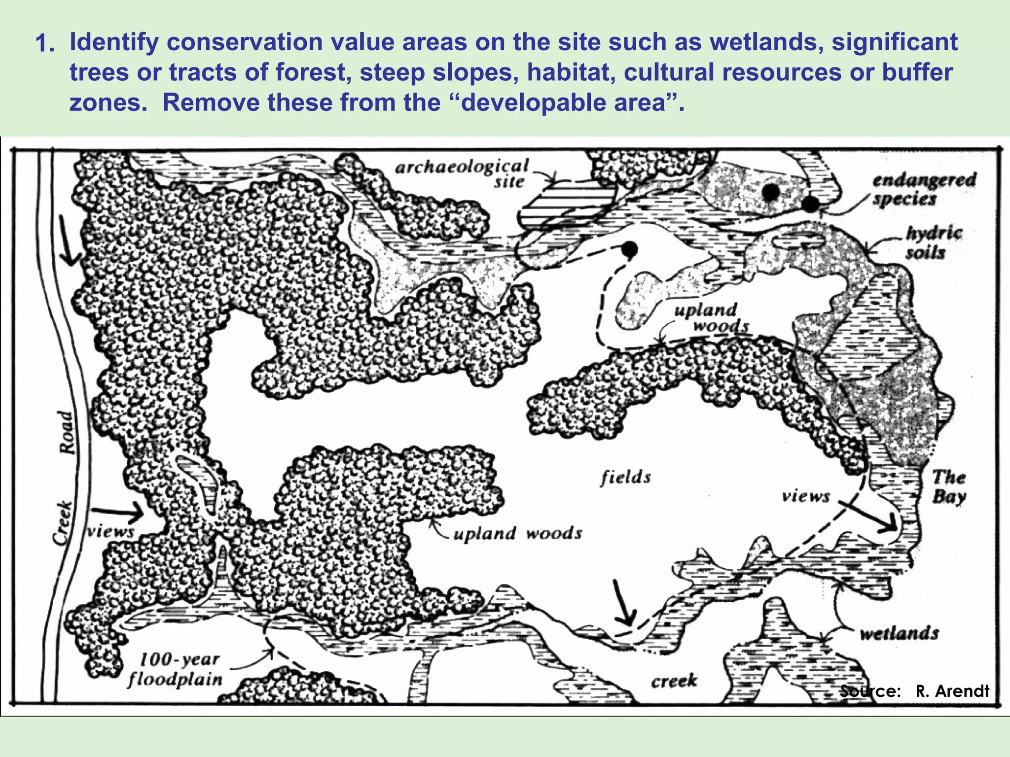 Identify conservation value areas on the site such as wetlands, significant trees or tracts of forest, steep slopes, habitat, cultural resources or buffer zones.  Remove these from the “developable area”. 1. Source:  R. Arendt 