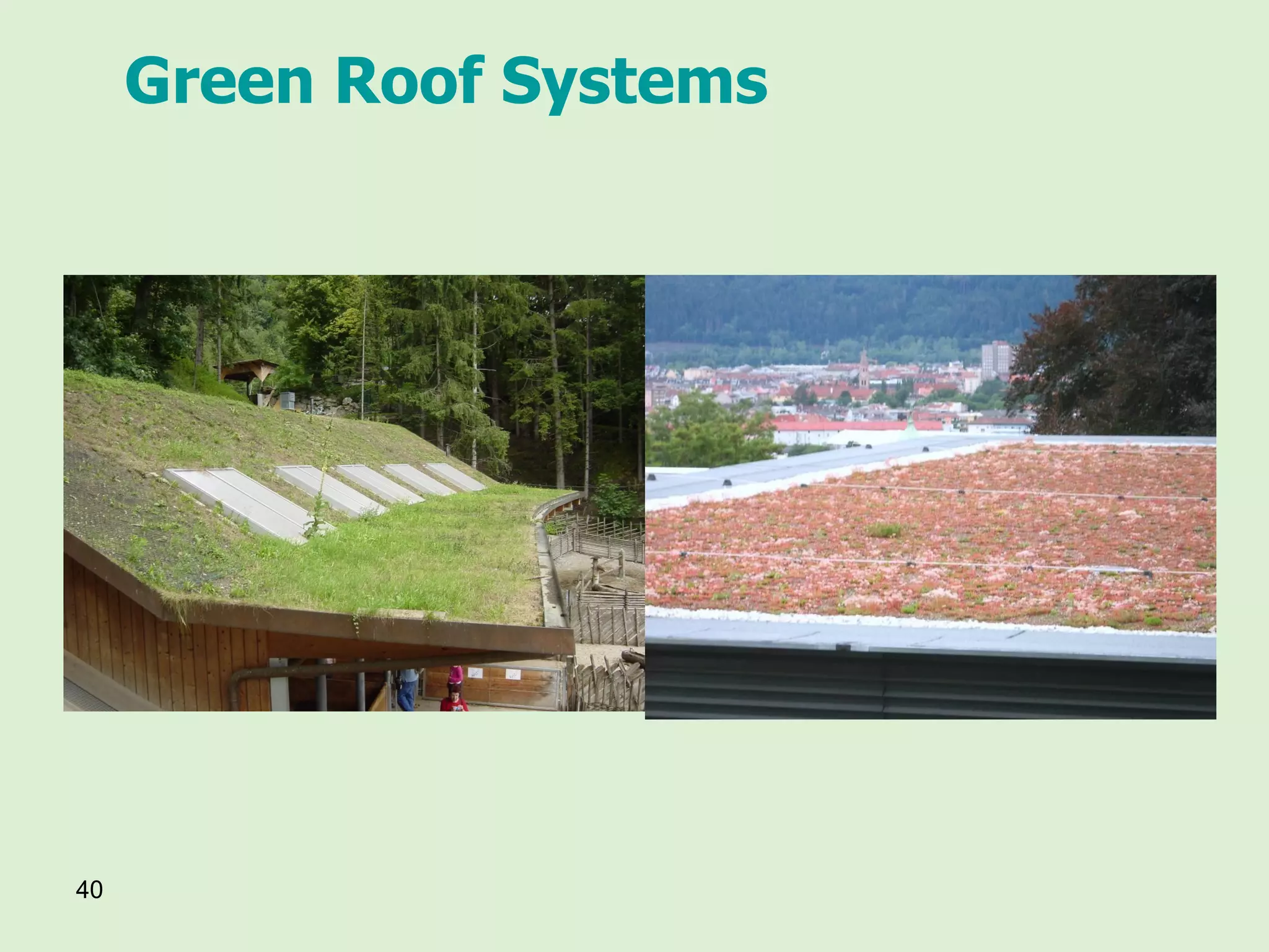 Green Roof Systems 