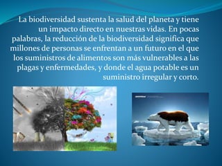 La biodiversidad sustenta la salud del planeta y tiene
un impacto directo en nuestras vidas. En pocas
palabras, la reducción de la biodiversidad significa que
millones de personas se enfrentan a un futuro en el que
los suministros de alimentos son más vulnerables a las
plagas y enfermedades, y donde el agua potable es un
suministro irregular y corto.
 