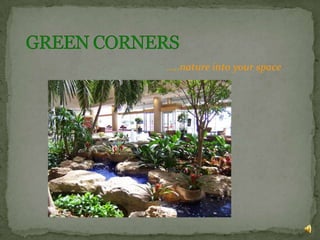 GREEN CORNERS …..nature into your space 