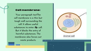 t
Cell membrane:
Your paragraph textThe
cell membrane is a thin but
tough wall surrounding the
cell. It allows useful
substances to enter the cell.
But it blocks the entry of
harmful substances. The
membrane also forces out
waste products.
 