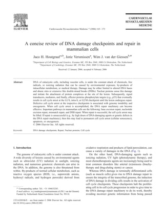 A concise review of DNA damage checkpoints and repair in
mammalian cells
Jaco H. Houtgraaf a,b
, Jorie Versmissena
, Wim J. van der Giessenb,4
a
Department of Cell Biology and Genetics, Erasmus MC, PO Box 2040, 3000 CA Rotterdam, The Netherlands
b
Department of Cardiology, Erasmus MC, PO Box 2040, 3000 CA Rotterdam, The Netherlands
Received 12 January 2006; accepted 6 February 2006
Abstract DNA of eukaryotic cells, including vascular cells, is under the constant attack of chemicals, free
radicals, or ionizing radiation that can be caused by environmental exposure, by-products of
intracellular metabolism, or medical therapy. Damage may be either limited to altered DNA bases
and abasic sites or extensive like double-strand breaks (DSBs). Nuclear proteins sense this damage
and initiate the attachment of protein complexes at the site of the lesion. Subsequently, signal
transducers, mediators, and finally, effector proteins phosphorylate targets (e.g., p53) that eventually
results in cell cycle arrest at the G1/S, intra-S, or G2/M checkpoint until the lesion undergoes repair.
Defective cell cycle arrest at the respective checkpoints is associated with genome instability and
oncogenesis. When cell cycle arrest is accomplished, the DNA repair machinery can become
effective. Important pathways in mammalian cells are the following: base excision repair, nucleotide
excision repair, mismatch repair, and DSB repair. When repair is successful, the cell cycle arrest may
be lifted. If repair is unsuccessful (e.g., by high doses of DNA-damaging agents or genetic defects in
the DNA repair machinery), then this may lead to permanent cell cycle arrest (cellular senescence),
apoptosis, or oncogenesis.
D 2006 Elsevier Inc. All rights reserved.
Keywords: DNA damage checkpoints; Repair; Nuclear proteins; Cell cycle
1. Introduction
The genome of eukaryotic cells is under constant attack.
A wide diversity of lesions caused by environmental agents
such as ultraviolet (UV) radiation in sunlight, ionizing
radiation, and numerous genotoxic chemicals can arise in
the DNA. In addition, the genome is also threatened from
within. By-products of normal cellular metabolism, such as
reactive oxygen species (ROS; i.e., superoxide anions,
hydroxyl radicals, and hydrogen peroxide) derived from
oxidative respiration and products of lipid peroxidation, can
cause a variety of damages in the DNA (Fig. 1).
On the other hand, DNA-damaging agents such as
ionizing radiation, UV light (photodynamic therapy), and
most chemotherapeutic agents are increasingly being used to
treat common disorders like arterial (re)stenosis (brachy-
therapy and drug-eluting stents) or cancer.
Whereas DNA damage in terminally differentiated cells
(such as muscle cells) gives rise to DNA damage repair to
ensure the integrity of the transcribed genome, the induction
of DNA damage in dividing cells results in the activation of
cell cycle checkpoints. These checkpoints halt the prolifer-
ating cell in its cell cycle progression in order to give time to
the DNA damage repair machinery to do its work, thereby
avoiding incorrect genetic information from being passed
1553-8389/06/$ – see front matter D 2006 Elsevier Inc. All rights reserved.
doi:10.1016/j.carrev.2006.02.002
4 Corresponding author. Tel.: +31 104635245.
E-mail address: w.j.vandergiessen@erasmusmc.nl (W.J. van der Giessen).
Funded by Netherlands Heart Foundation Grant No. 99118.
Cardiovascular Revascularization Medicine 7 (2006) 165–172
 