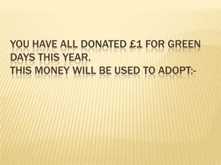 YOU HAVE ALL DONATED £1 FOR GREEN
DAYS THIS YEAR.
THIS MONEY WILL BE USED TO ADOPT:-
 