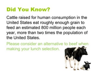 Cattle raised for human consumption in the
United States eat roughly enough grain to
feed an estimated 800 million people ...