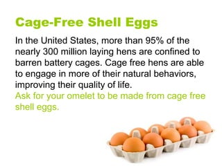 In the United States, more than 95% of the
nearly 300 million laying hens are confined to
barren battery cages. Cage free ...