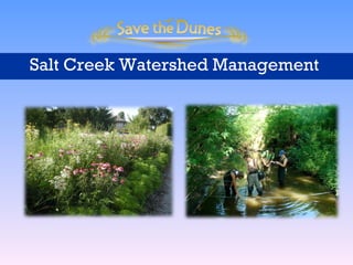 Salt Creek Watershed Management  