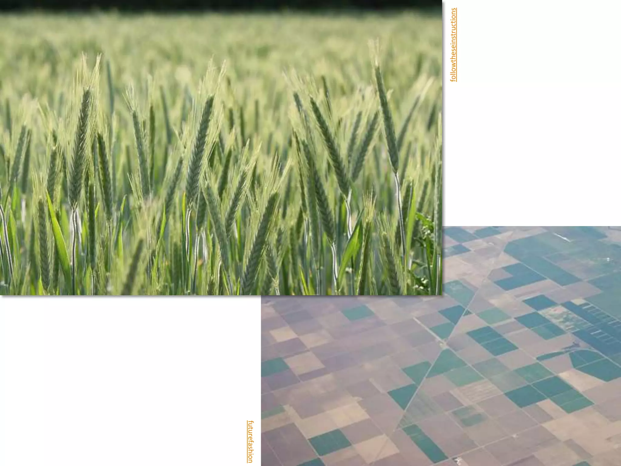 futurefashion




                followtheseinstructions
 