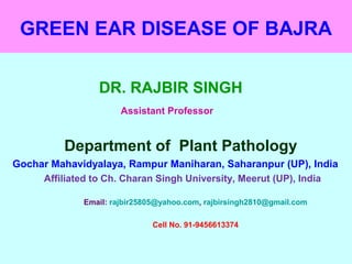 GREEN EAR DISEASE OF BAJRA
DR. RAJBIR SINGH
Assistant Professor
Department of Plant Pathology
Gochar Mahavidyalaya, Rampur Maniharan, Saharanpur (UP), India
Affiliated to Ch. Charan Singh University, Meerut (UP), India
Email: rajbir25805@yahoo.com, rajbirsingh2810@gmail.com
Cell No. 91-9456613374
 