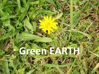 Green EARTH 