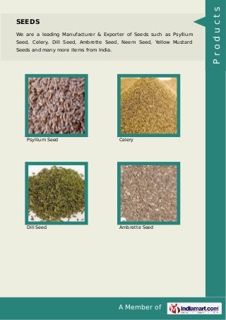 A Member of
SEEDS
We are a leading Manufacturer & Exporter of Seeds such as Psyllium
Seed, Celery, Dill Seed, Ambrette See...