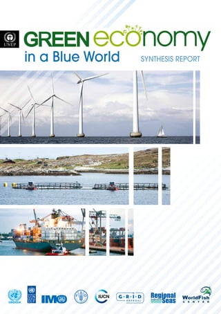 in a Blue World   SYNTHESIS REPORT




UNDESA
 
