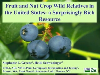 Fruit and Nut Crop Wild Relatives in
 the United States: a Surprisingly Rich
               Resource




Stephanie L. Greene1, Heidi Schwaninger2
USDA, ARS NPGS-Plant Germplasm Introduction and Testing1,
Prosser, WA; Plant Genetic Resources Unit2, Geneva, NY.
 