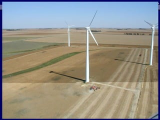 Energy Grants – REAP/9007
3rd Party Verification – Renewable Energy:
  • Requires business-level feasibility study
    • If over $200,000 total project cost
    • Documents and evaluates the feasibility
    • Documents the energy generation
    • Documents the cost savings
    • Establishes the return on investment
  • Requires technical report and/or evaluation
    • $200,000 project cost (over or under)
    • Documents and evaluates the technical feasibility
 