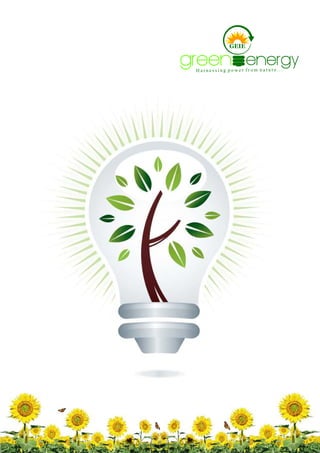 Green Energy India Enterprises, Noida, Solar Products