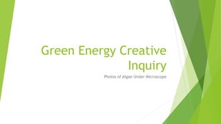 Green Energy Creative
Inquiry
Photos of Algae Under Microscope
 