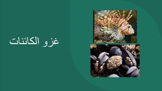 ‫غزو‬
‫الكائنات‬
 