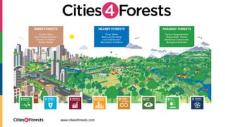 www.cities4forests.com
 