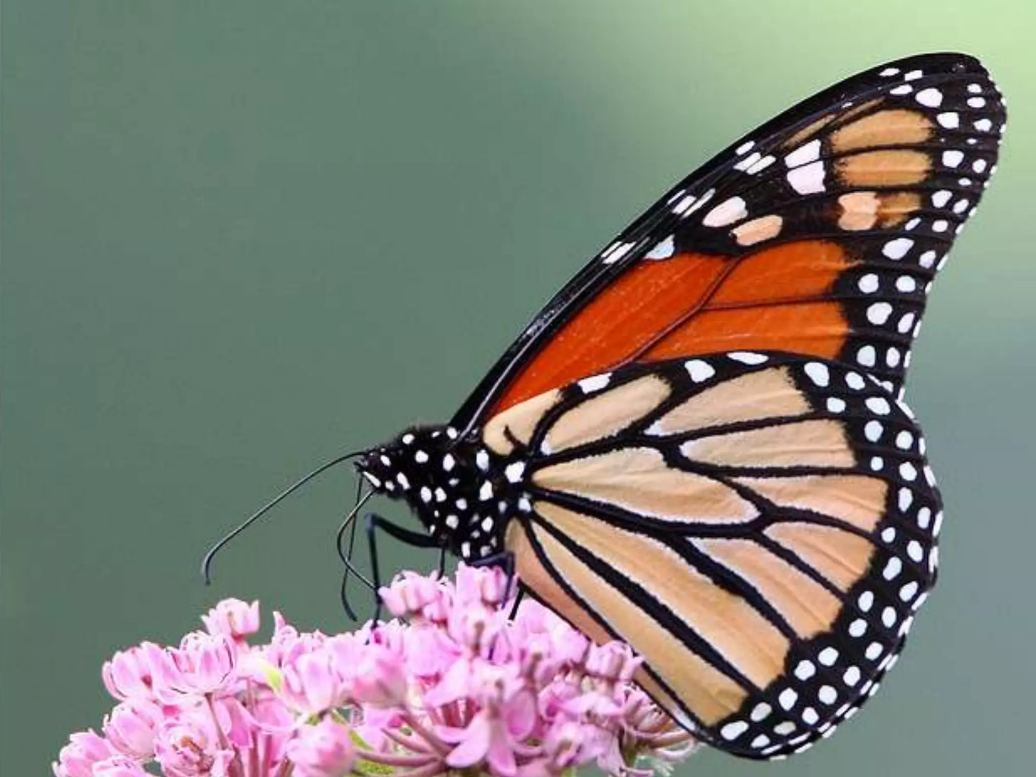 31% above for cooling energy 