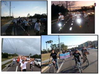 Ecosystem FacilitationEcological Engineering with Aquatic VegetationCreating wetland ecosystems to help clean our local waters and reduce the chemicals used to maintain ponds around Florida.Leader: Zak Marimon