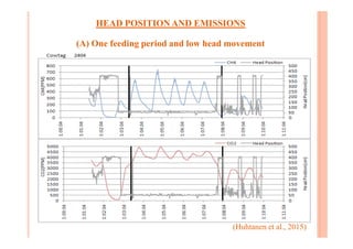 HEAD POSITION AND EMISSIONS
(A) One feeding period and low head movement
(Huhtanen et al., 2015)
 