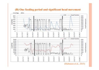 (B) One feeding period and significant head movement
(Huhtanen et al., 2015)
 
