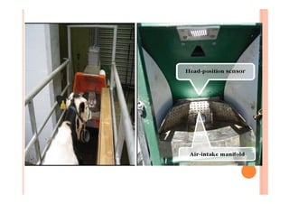 Green feed in methane mitigation...muneendra kumar