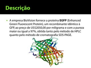 Gfp Model Green fluorescent protein (gfp) | PDF