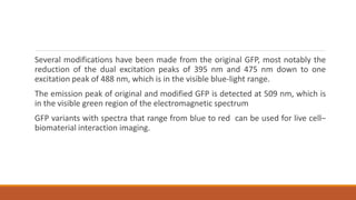 Green Fluorescent Protein notes.ppt