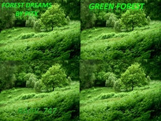GREEN   FOREST Green forest Forest dreams By pitx RAJIV  747 
