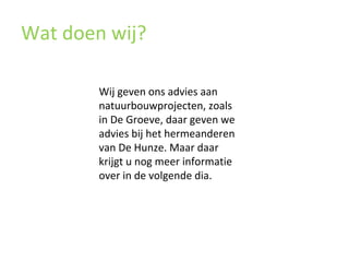 Wat doen wij? Wij geven ons advies aan natuurbouwprojecten, zoals in De Groeve, daar geven we advies bij het hermeanderen van De Hunze. Maar daar krijgt u nog meer informatie over in de volgende dia. 
